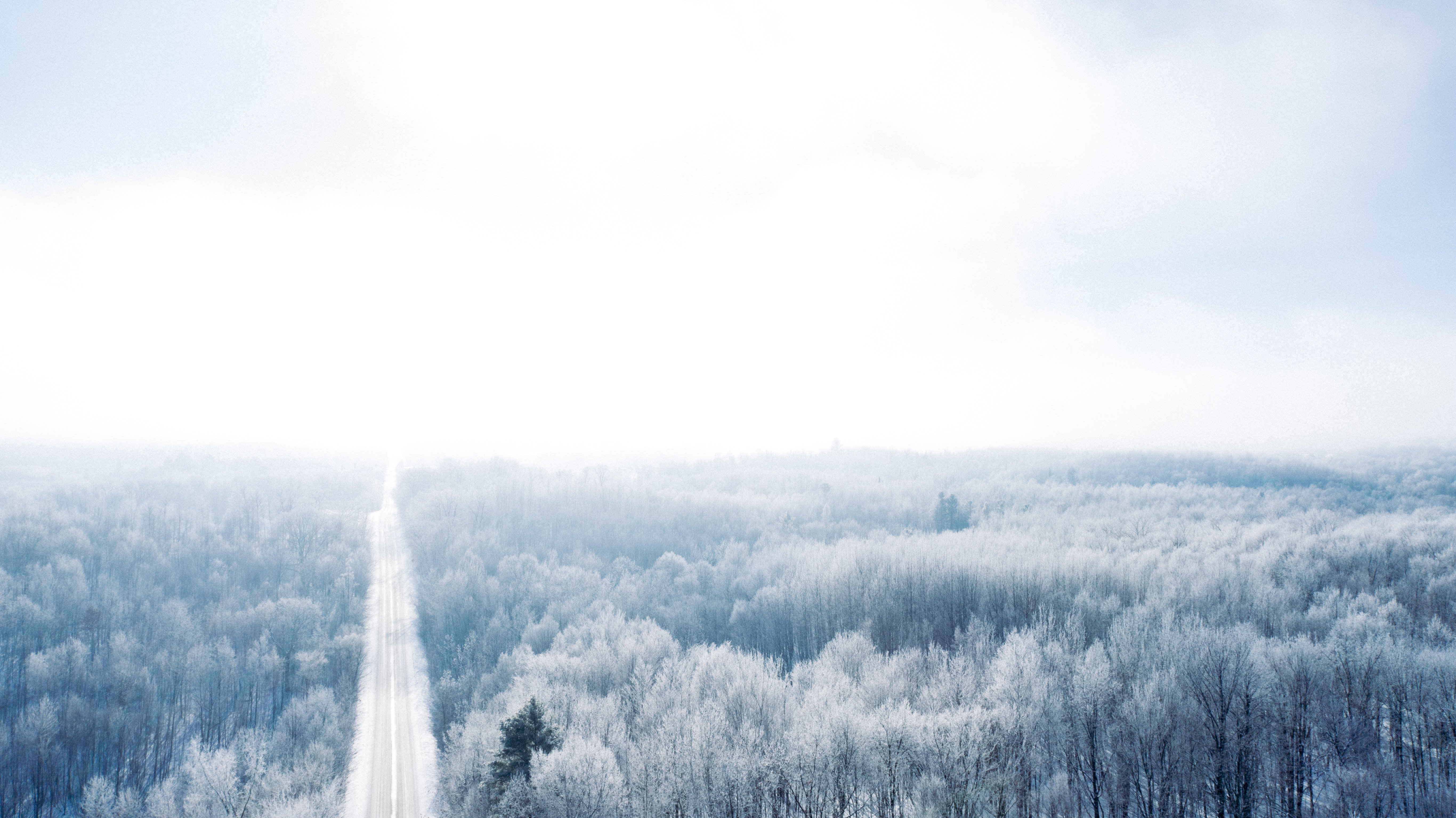 Photo of a snow covered forrest with a road