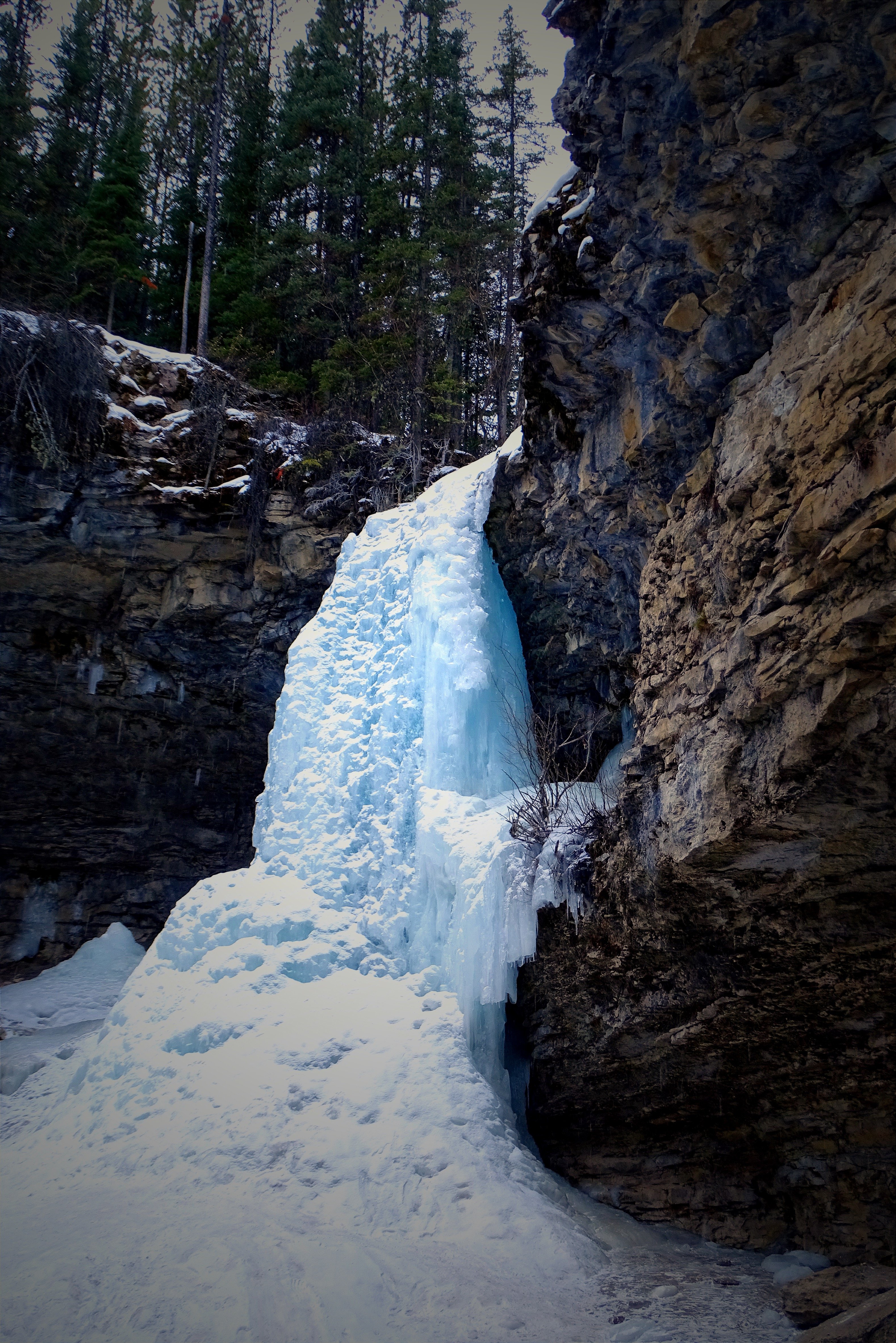 Photo of a frozen waterfall in a forrest